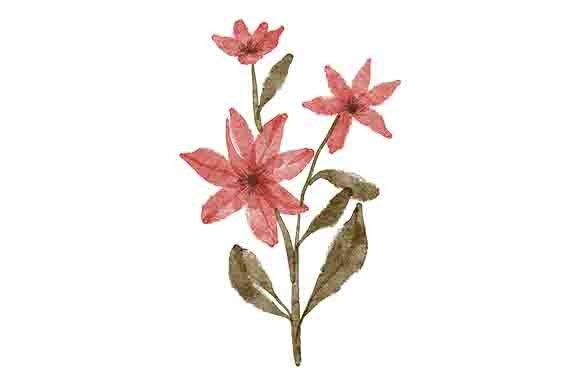 Exploring the Watercolor Floral with Leaf Paint Collection