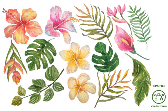 The Floral Tropis Watercolor Elements Vector: Your Guide to Smart Creative Use