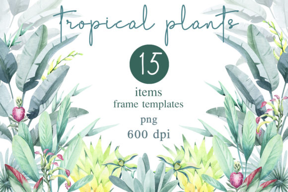 Understanding the Floral Frame Made of Tropical Flowers Digital Collection